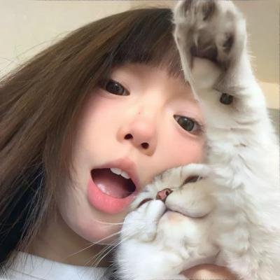 血染鲨海